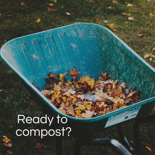 Who can compost?