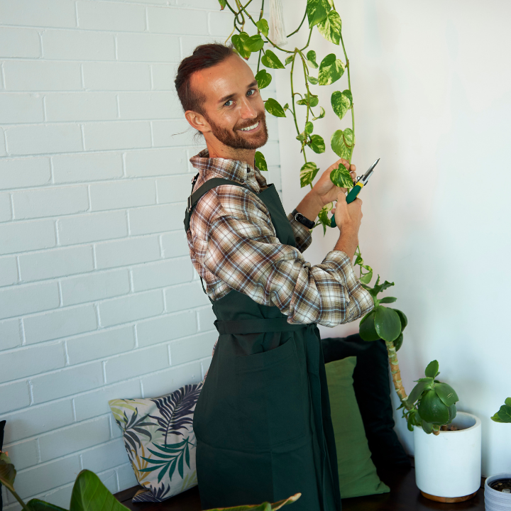 Caring for your indoor plants in the cooler months.